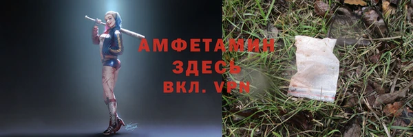 ГАЛЛЮЦИНОГЕННЫЕ ГРИБЫ Алексеевка