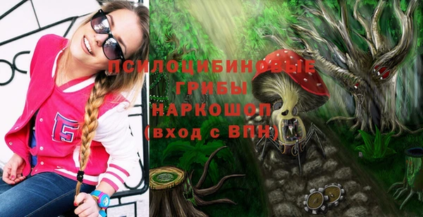 дмт Алексин