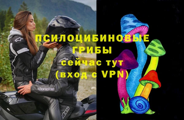 ГАЛЛЮЦИНОГЕННЫЕ ГРИБЫ Алексеевка