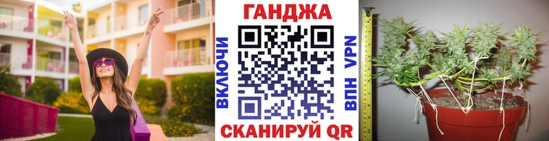 Канабис семена Мышкин